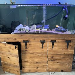 150 Gallon Rimless Fish Tank