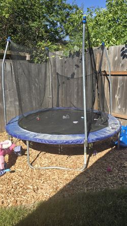 Trampoline!