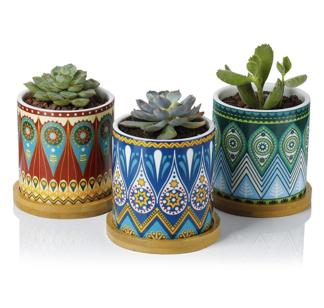 Succulent Plant Pots - 3 Inch Small Ceramic Cylindrical Planter