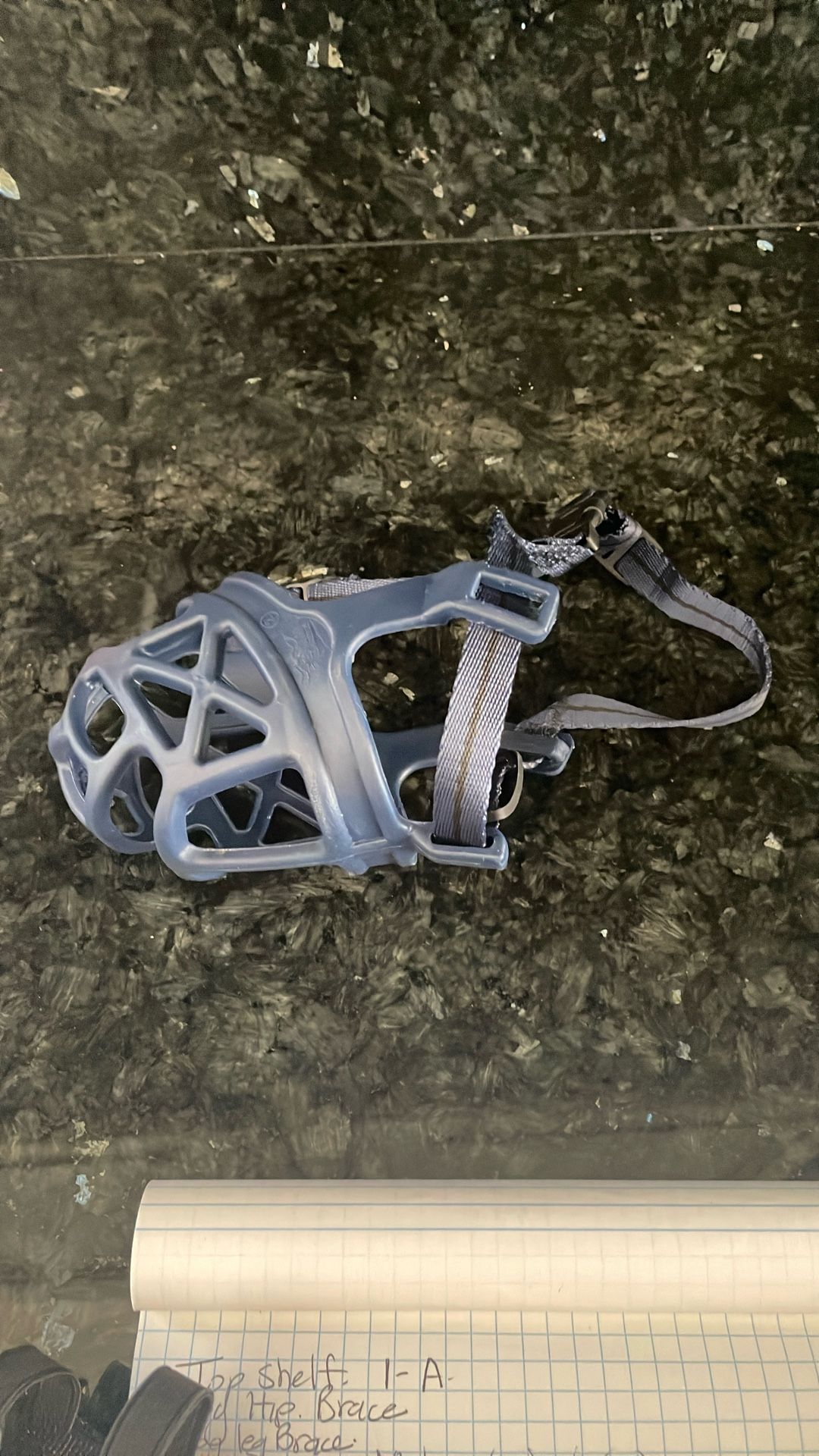 Dog Muzzle