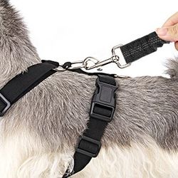 Harness & Seatbelt Teather $10.00 