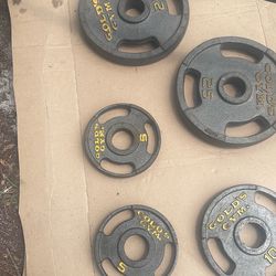 Golds Gym weights