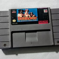 Super Nintendo Game  "Beethoven"