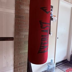 Punching Bag & Post 