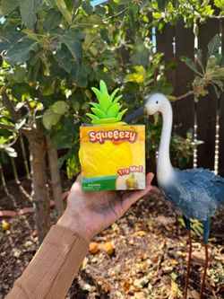 Sunny Days Squeeezy Pineapple Squishy Toy