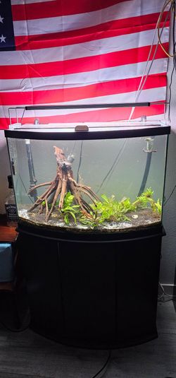 36 gallon bow front aquarium