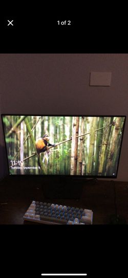 Monitor For Sale