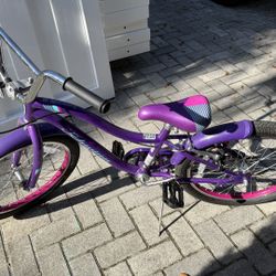 20 Inches Schwinn Bike 