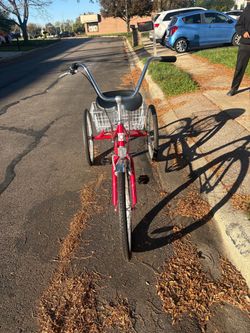 Adult Tricycle with Rear Basket
