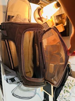 Pet carrier and puppy pad holder
