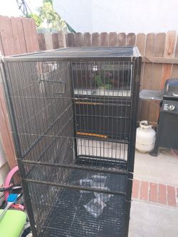 Big Bird Cage 