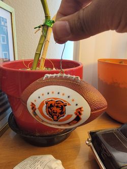 Nfl football