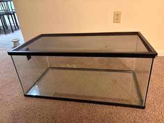 40 gallon tank