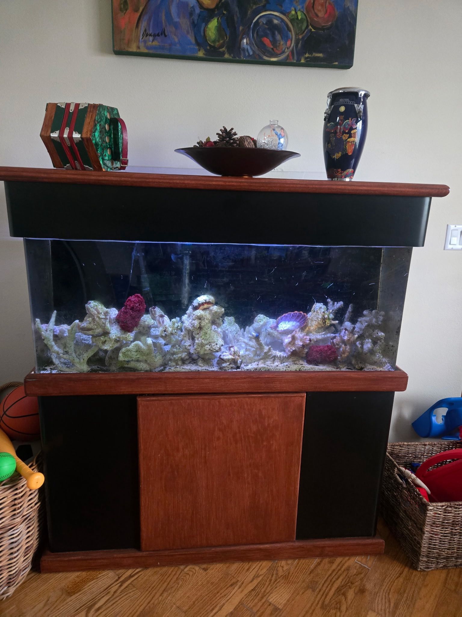 75 Gallon Fish Tank