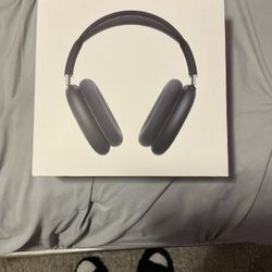 Apple Headphones