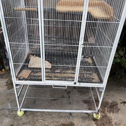 Bird Cage