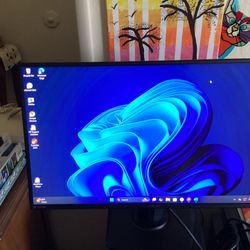 Asus Computer Monitor