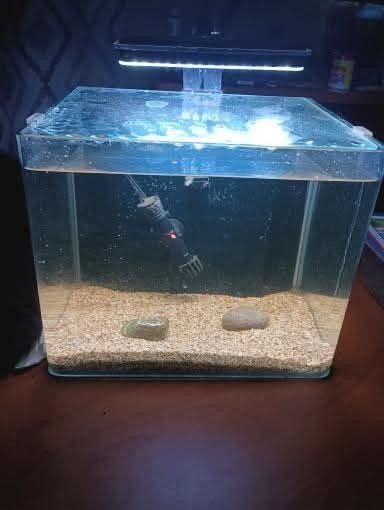 Imagitarum Frameless Fish Tank 