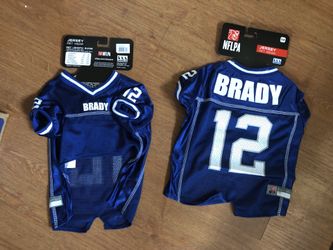 Brand new medium sized Tom Brady patriots dog jersey