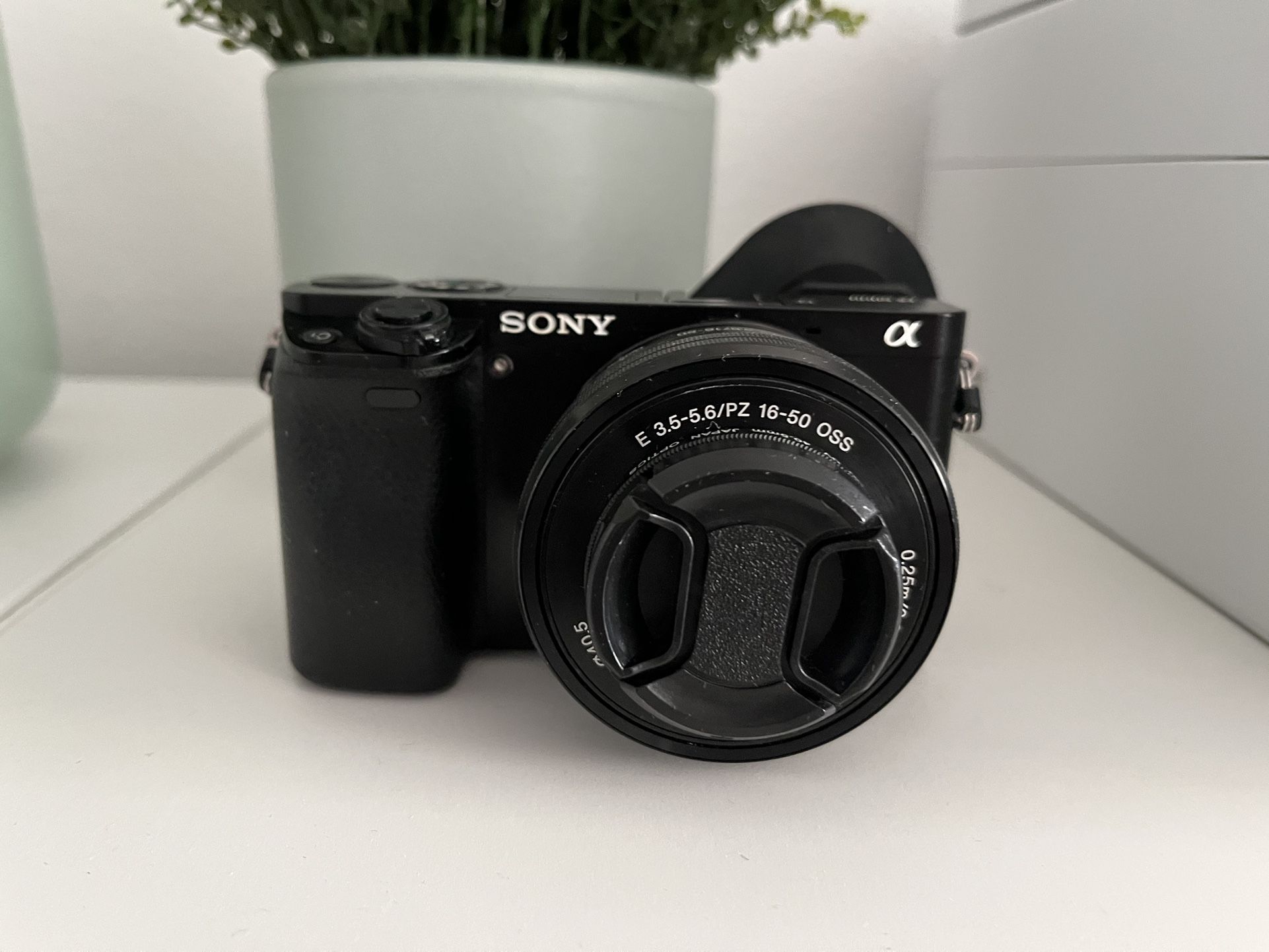 Sony Mirrorless A6000
