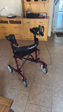 Oasis Space Upright Walker