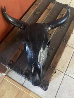 Black Cow Scull