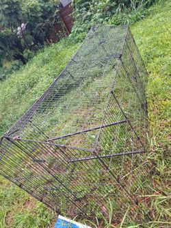 Cage