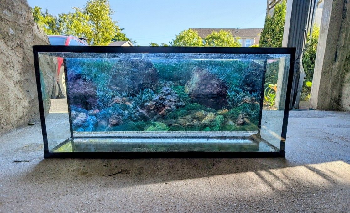 Complete 55 Gallon Aquarium Set Up