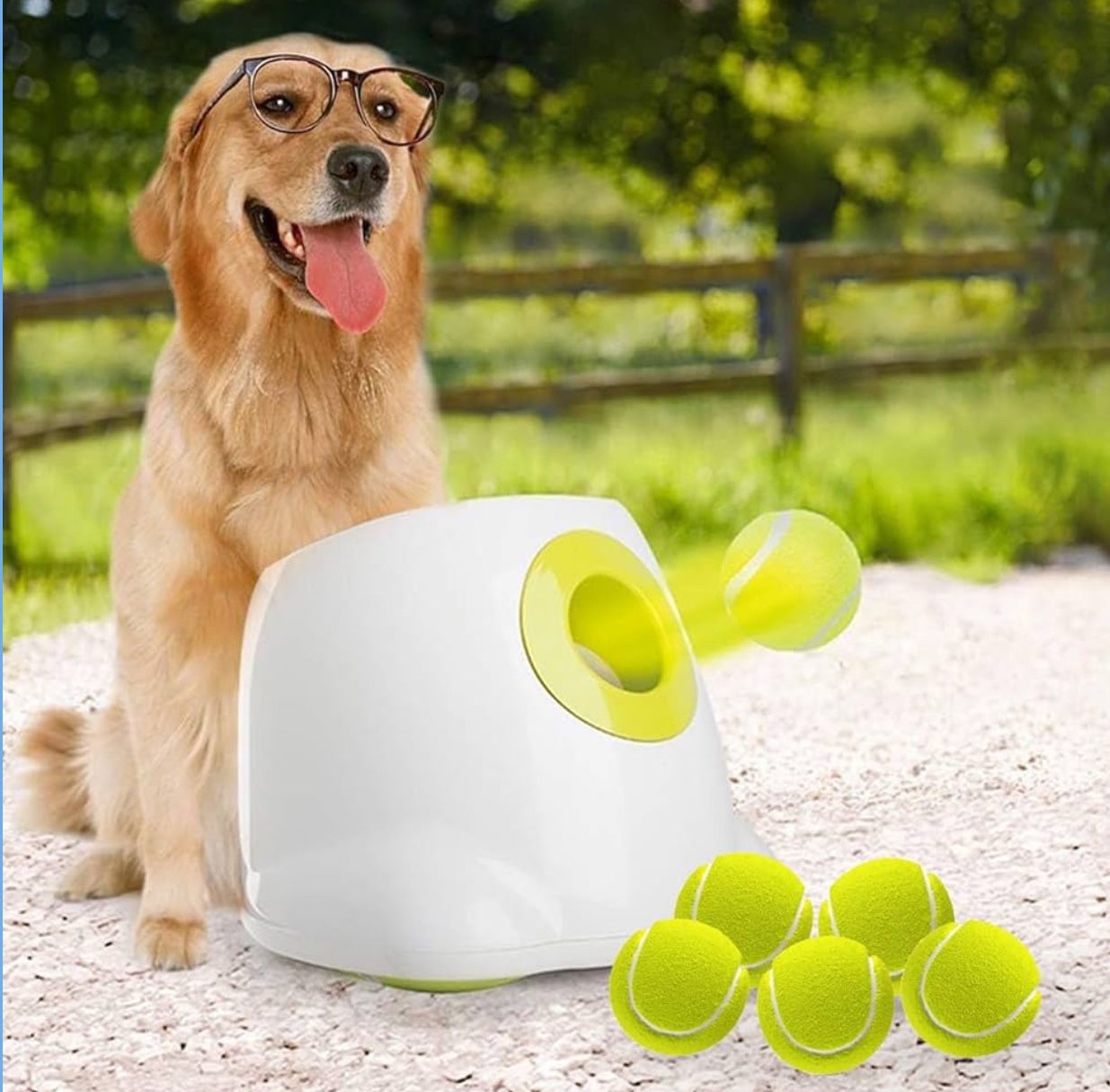 ALL FOR PAWS Automatic Dog Ball Launcher for Medium to Large Dogs, Interactive Dog Ball Thrower Mental Stimulation Dog Toys, Dog Tennis Ball Machine w