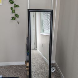 Door Hanging Mirror
