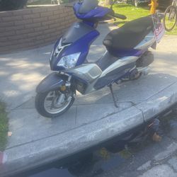 Envy 160cc Gas