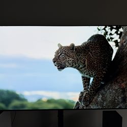 LG OLED CX 65” 4K TV