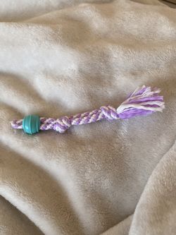 pet toy