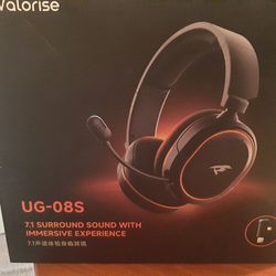 Gaming & Work From Home Headset