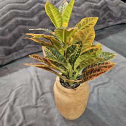 Artificial Croton Plant in Wooden Vase – Decorative Tabletop Plant