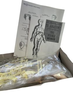 希少 Skil Craft Visible Woman Anatomy Kit Skilcraft Visible Woman Anatomy Kit Factory Sealed | eBay