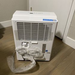 Homelabs Dehumidifier 