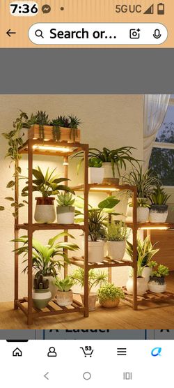 Plant stand with grow light ( new in the box)