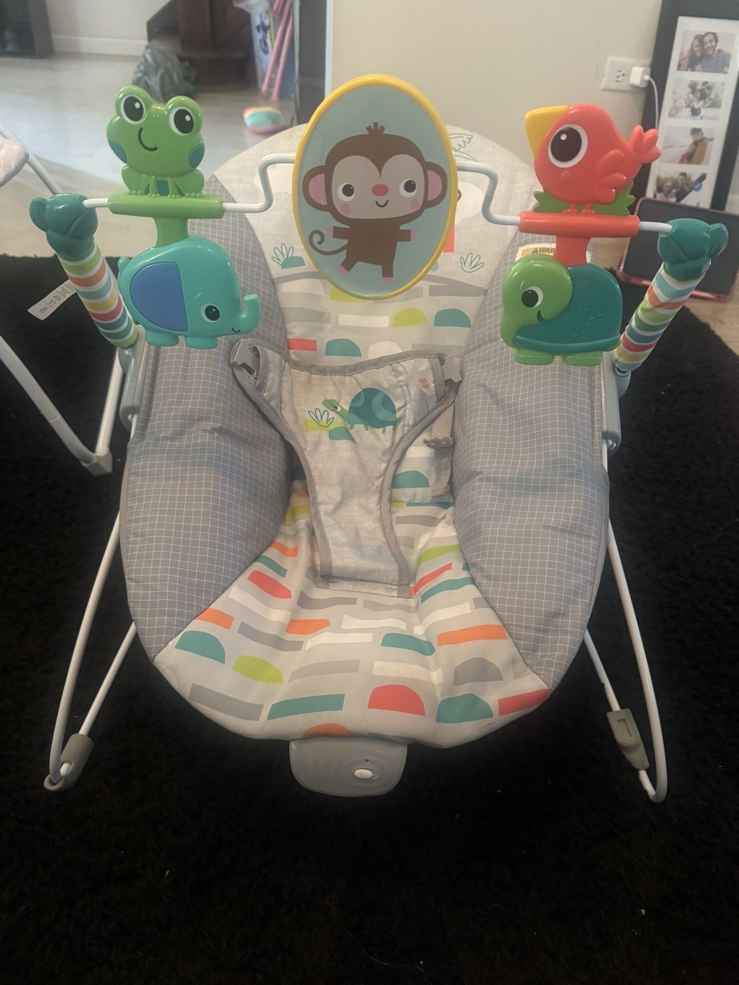 Baby Bouncer