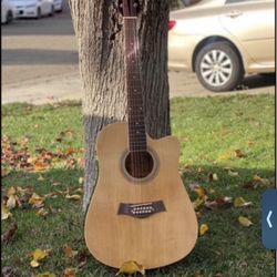 Acoustic Guitar 12 String 