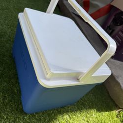 Igloo Cooler