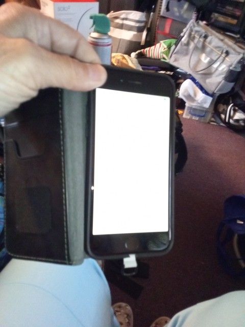 Unlocked iPhone 6 With Phone Cases