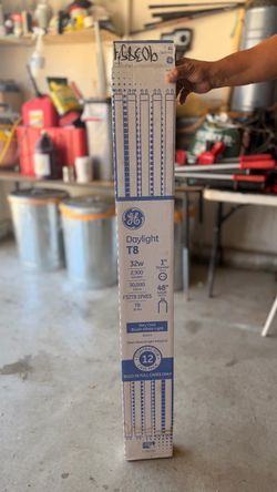 Brand New Light Bulb 2 PACK