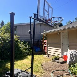Basketball Hoop, $40