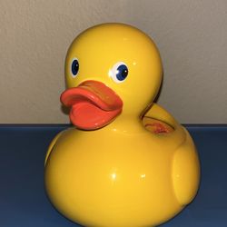 Duck Garden Pot