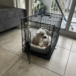 Crate For Dog / Jaula Para Perro Pequeño 