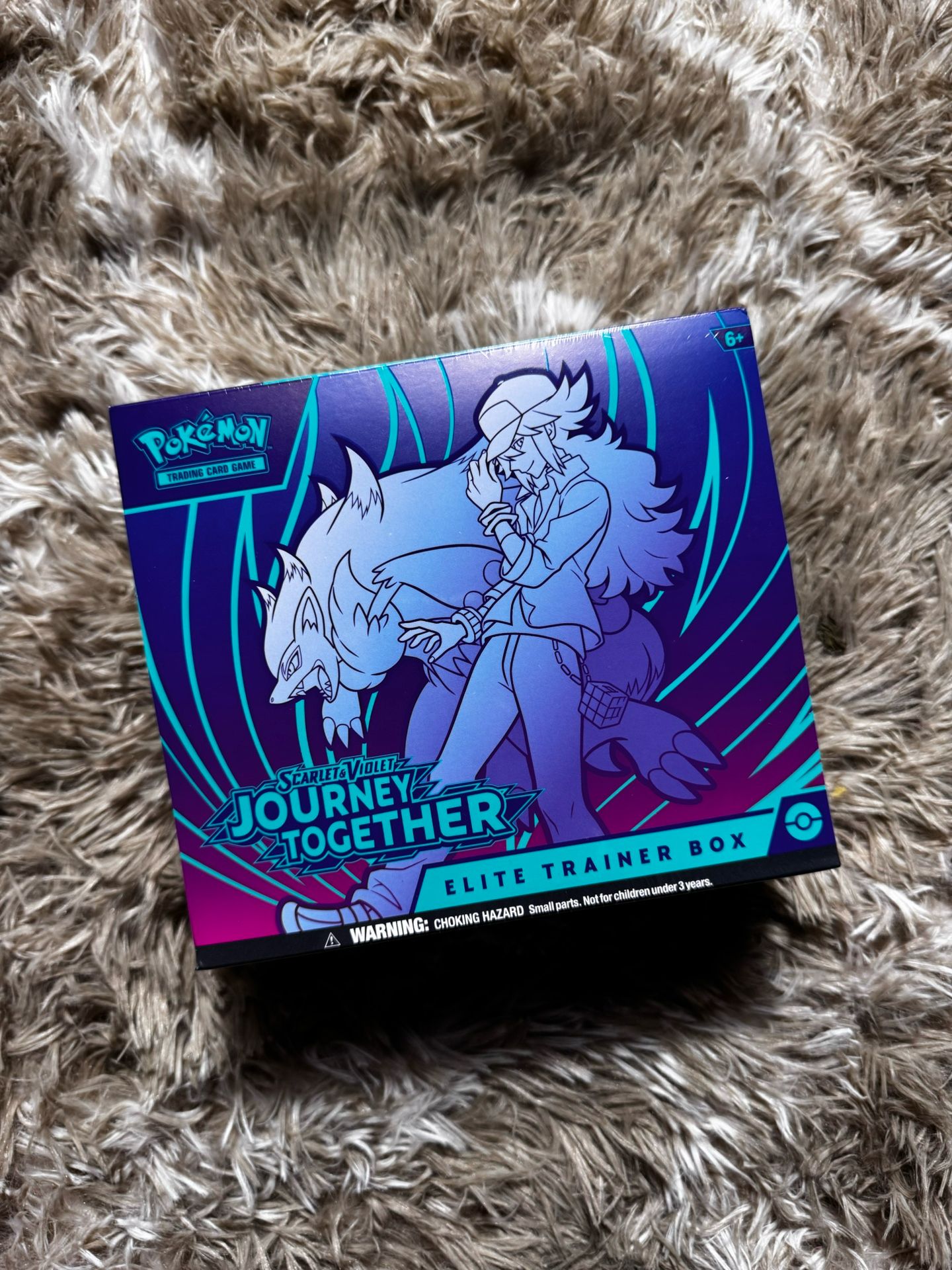 Journey Together Elite Trainer Box Pokemon Cards