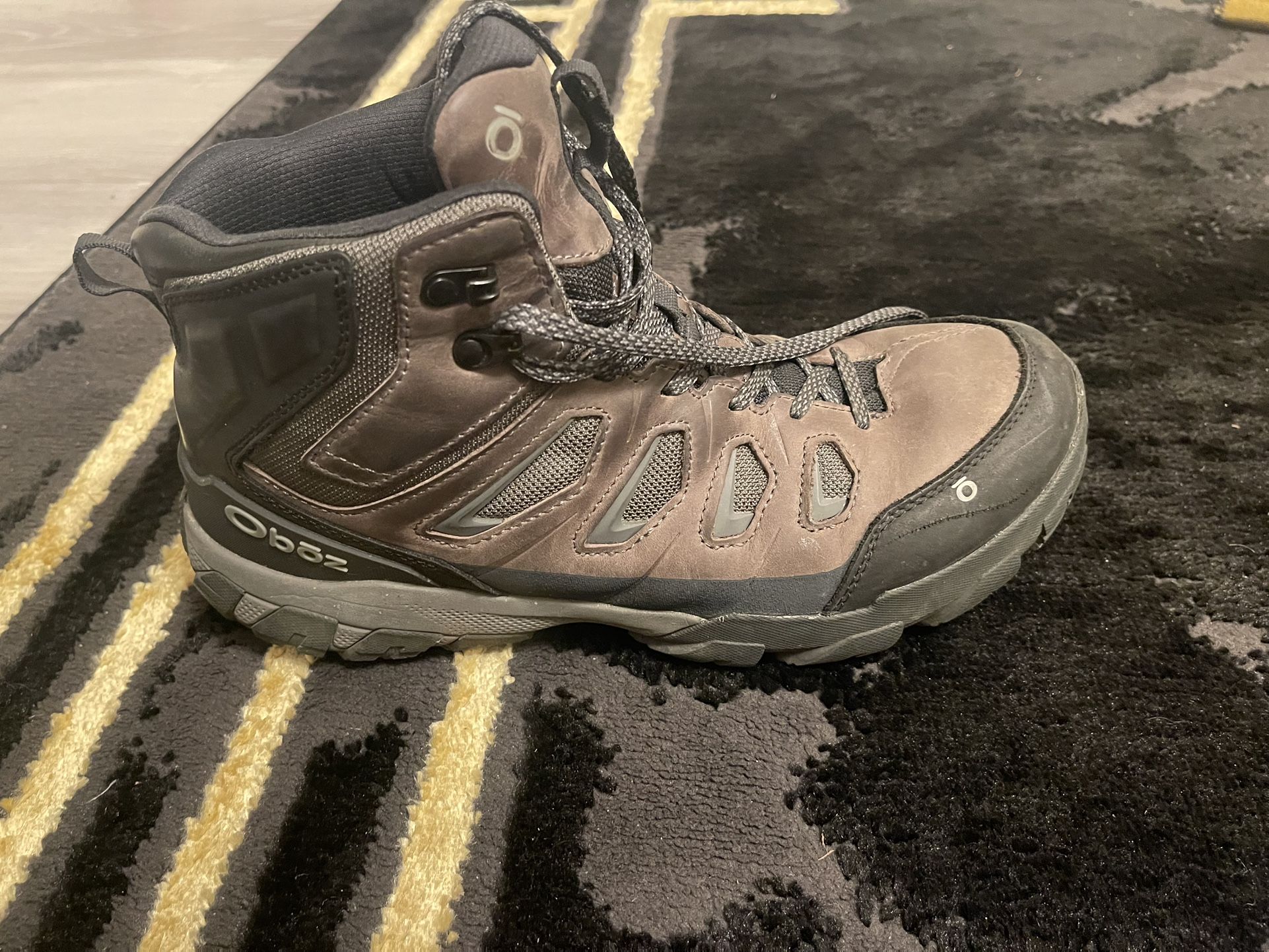 Mens Oboz Boots