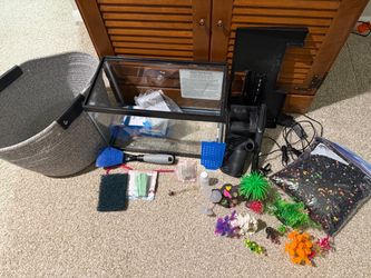 5- Gallon fish tank setup