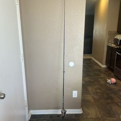 St Croix Legend Tournament Bass Rod With Shimano Marivel 